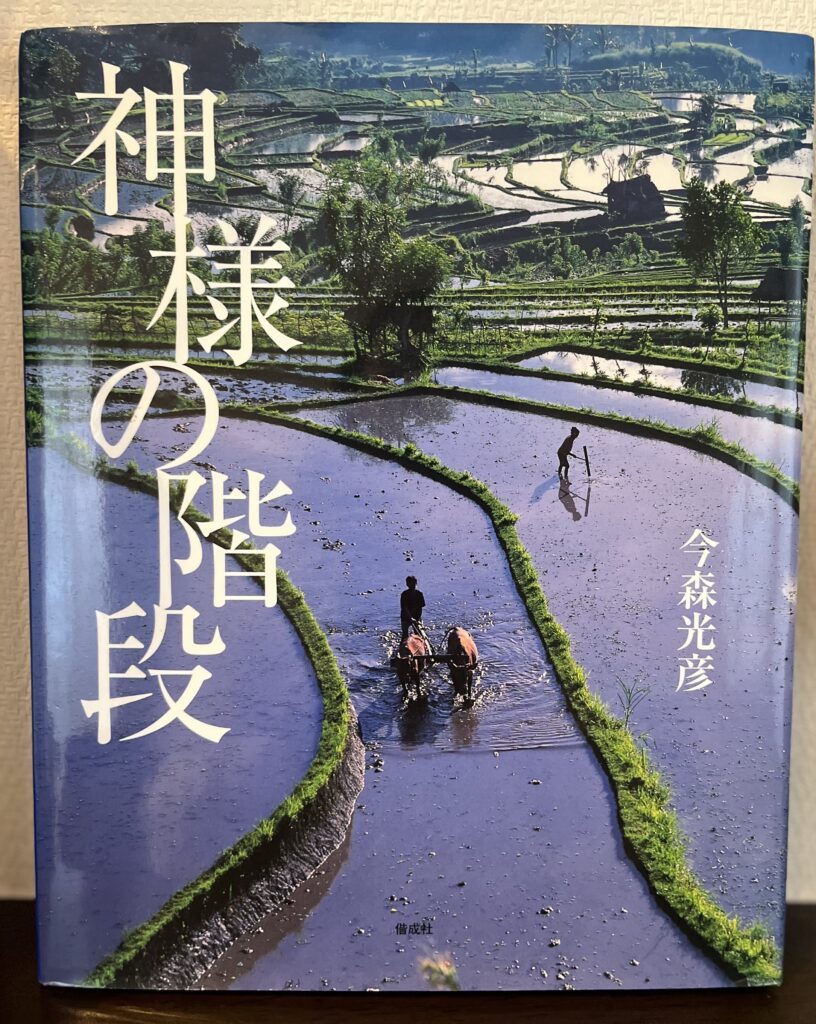 「美しいもの」キラキラ原画　送料無料　        